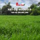Giống cỏ Mulato II